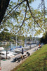 Bayfield Harbour