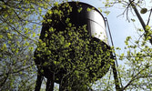 Greenway Trail