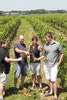 Maelstrom Winery