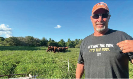Pasture tips from the 