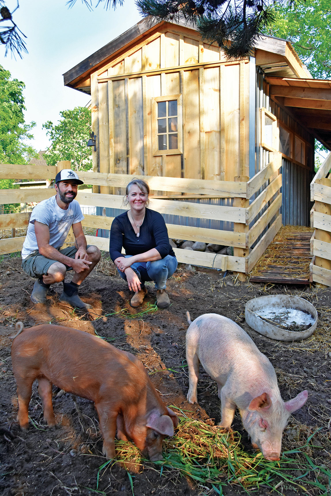 Going Whole Hog With Backyard Pigs By Lisa Boonstoppel Pot